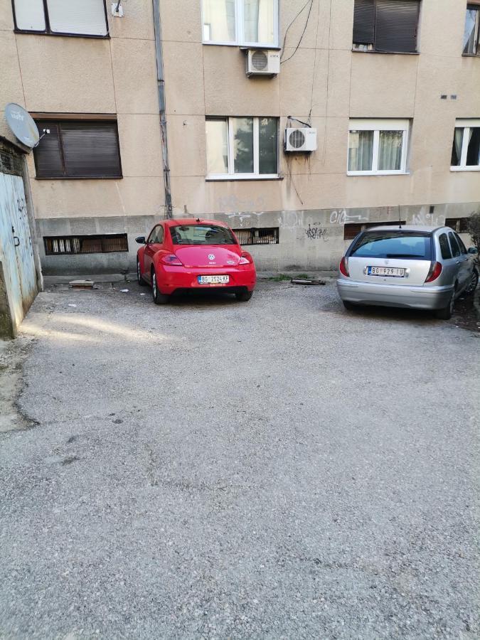 Ferienwohnung Stan Na Dan Pex Free Parking Vranje Exterior foto